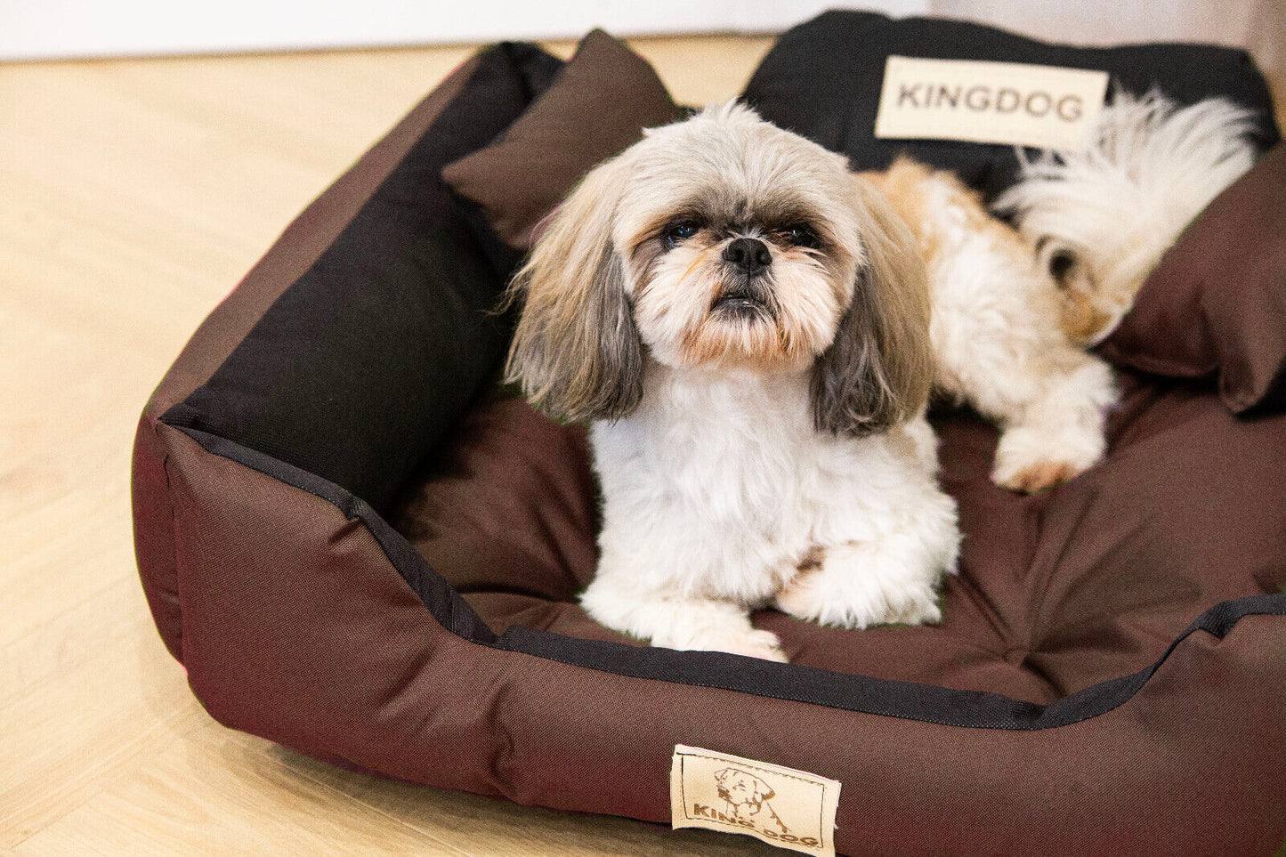 Hundebett Personalisiert