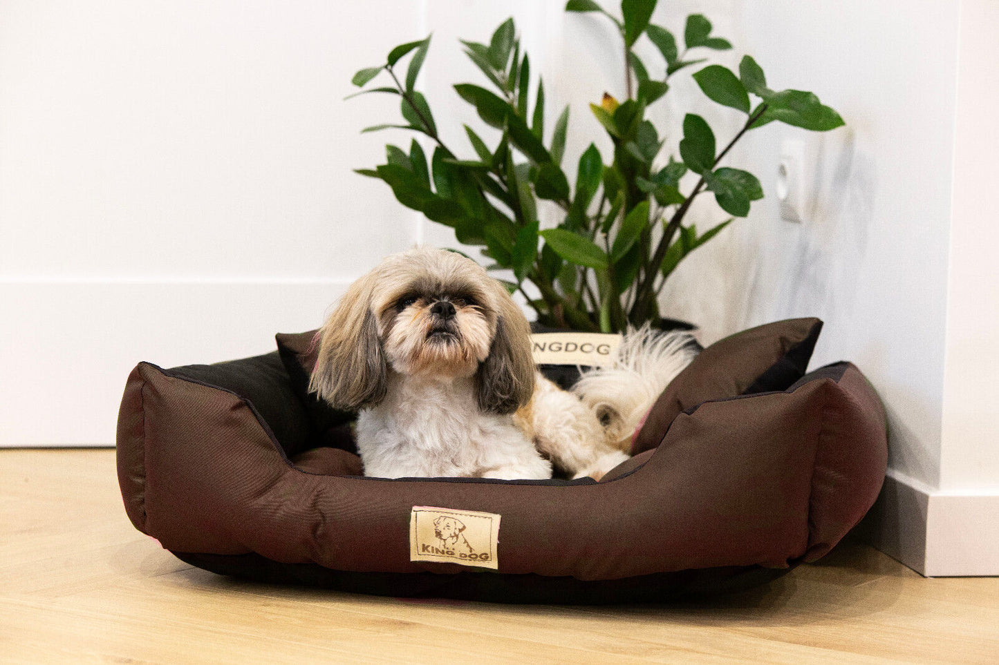 Hundebett Personalisiert